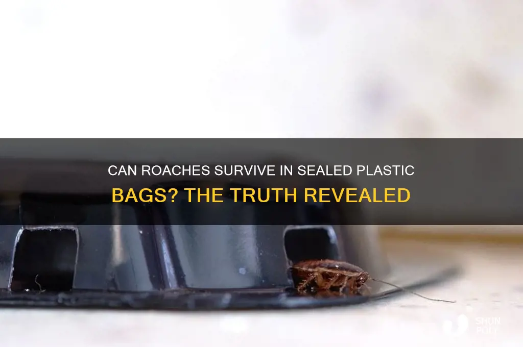 will a roach suffocate in a clised plastic bag