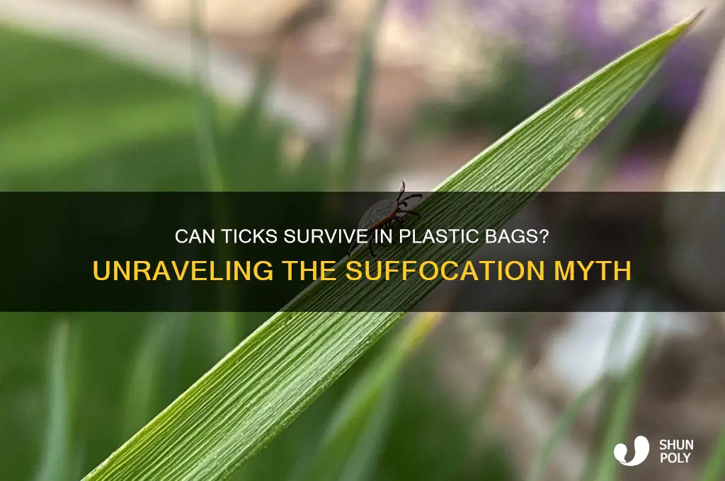 will a tick suffocate in a plastic bag