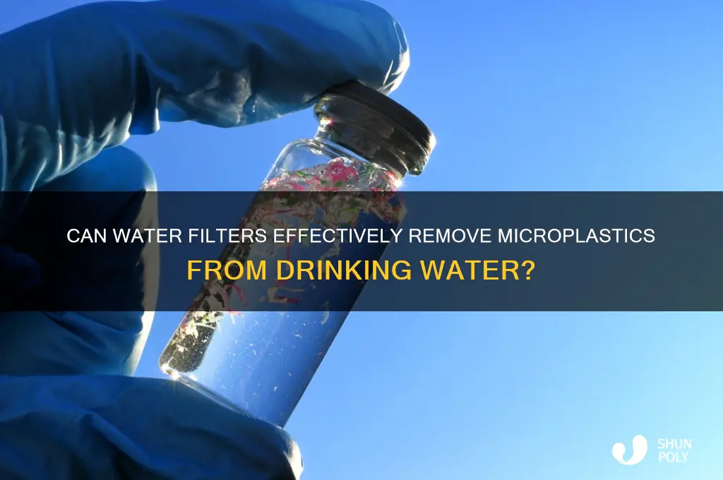 will a water filter remove micro plastics