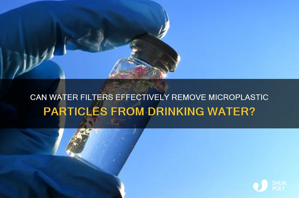 will a water filter remove plastic particles
