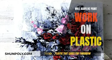 Acrylic Paint on Plastic: Does it Work?