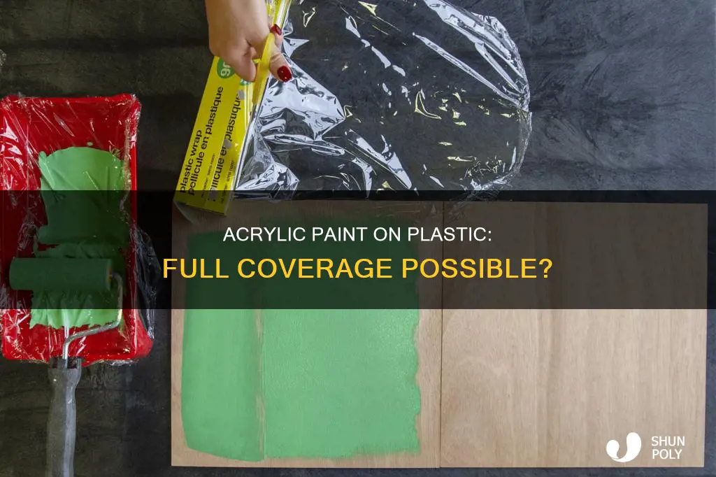will acrylic paint cover plastic