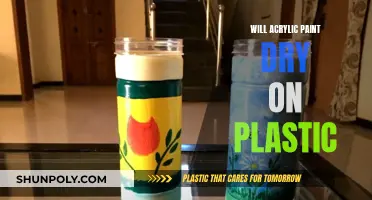 Acrylic Paint on Plastic: Will It Dry?