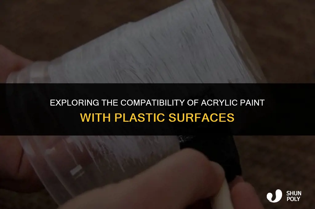 will acrylic paint work on plastic