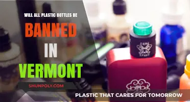 Vermont's Plastic Bottle Ban: What's Next for Beverage Containers?