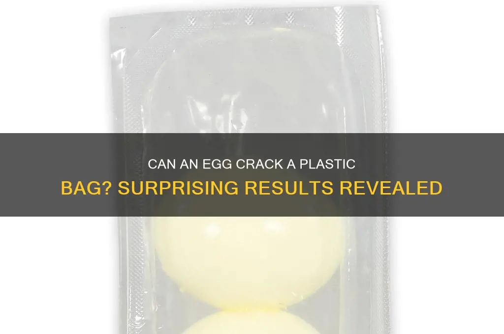 will an egg break a plastic bag