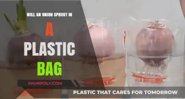 Can Onions Sprout in Plastic Bags? Surprising Growth Experiment