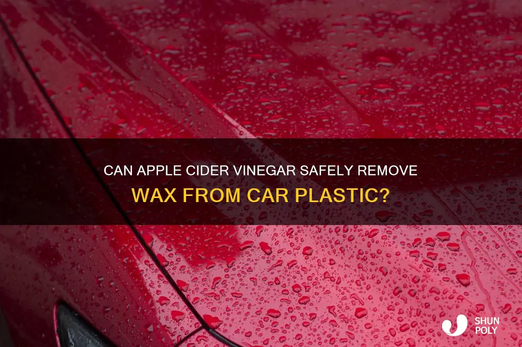 will apple cider vinegar remove wax from automotive plastic