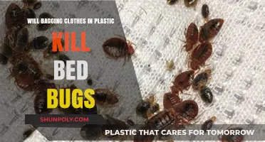 Does Bagging Clothes in Plastic Effectively Kill Bed Bugs?