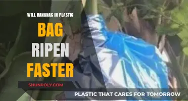 Do Bananas Ripen Faster in a Plastic Bag?