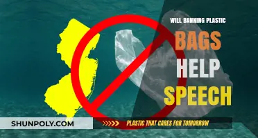 Banning Plastic Bags: A Step Towards Environmental Change or Empty Gesture?