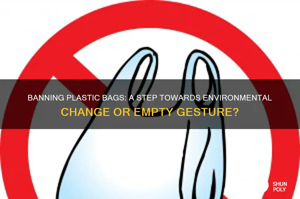 will banning plastic bags help speech