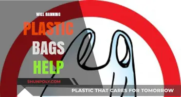 Will Banning Plastic Bags Save Our Environment? Pros and Cons Explored