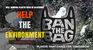 California's Plastic Bag Ban: A Green Step Forward or Token Effort?