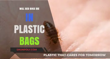 Can Bed Bugs Survive in Plastic Bags? The Truth Revealed