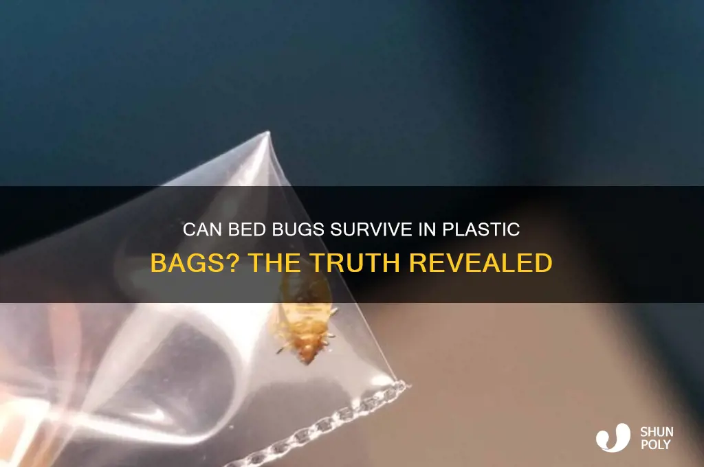 will bed bugs die in plastic bags