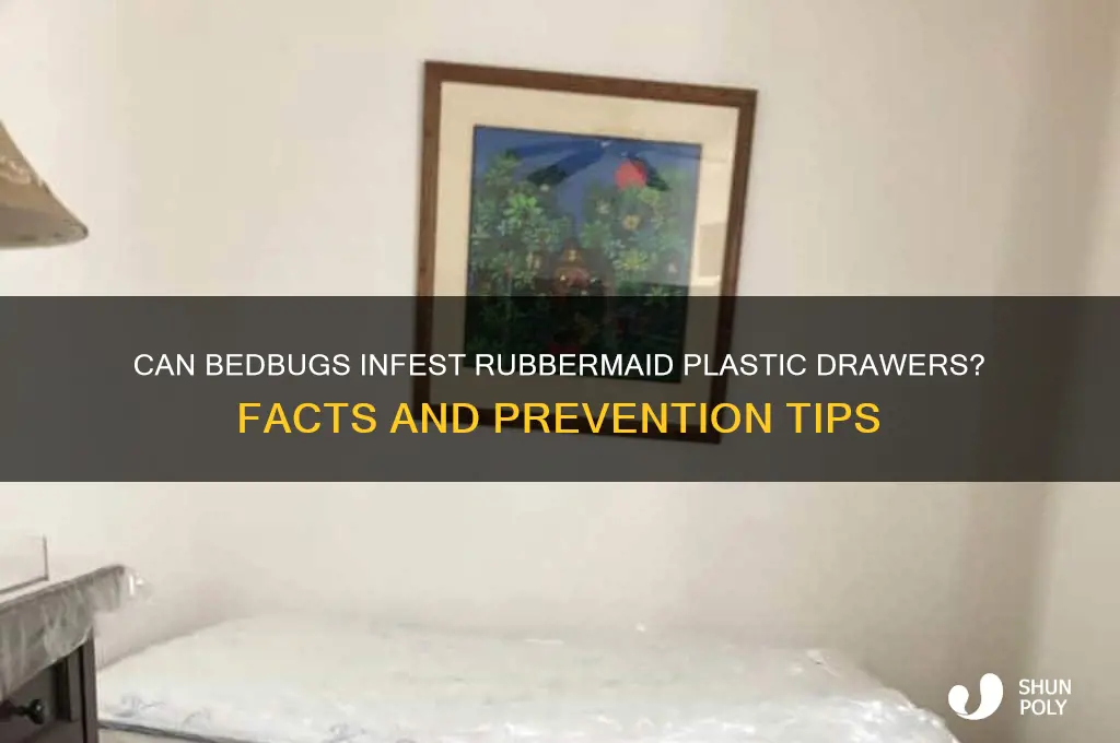 will bedbugs go in rubber made plastic drawers