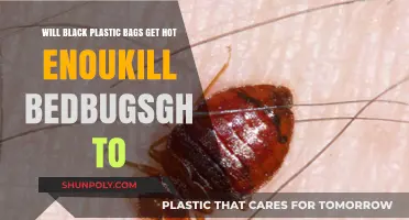 Can Black Plastic Bags Heat Up Enough to Kill Bed Bugs?