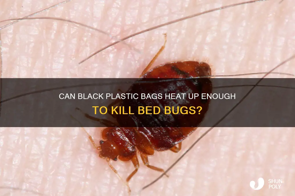 will black plastic bags get hot enoukill bedbugsgh to