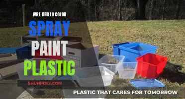 Spray Painting Plastics: Will Brillo Color Work?