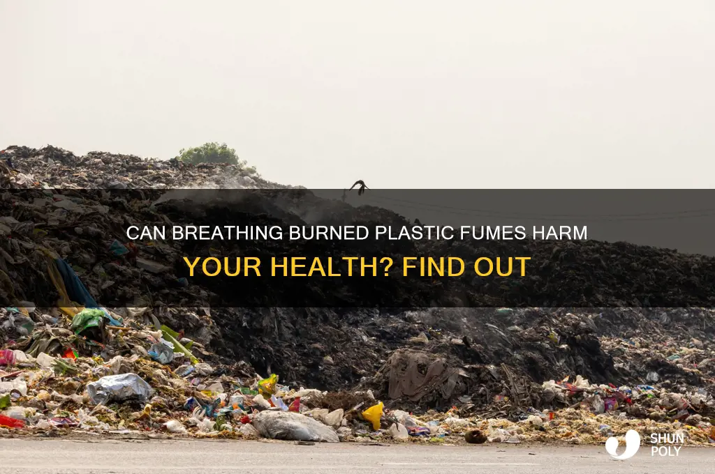 will burned plastic make you sick