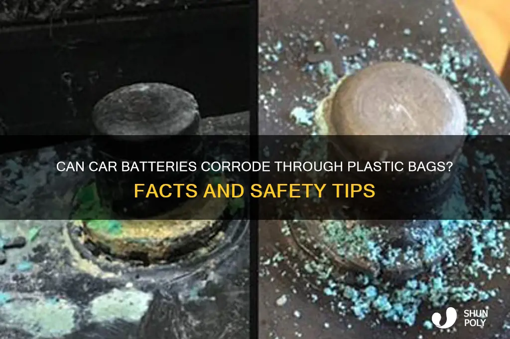 will car battery eat through plastic bag