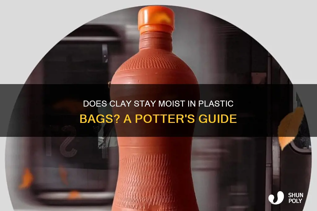 will clay stay moist in a plastic bag
