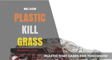 Does Clear Plastic Harm Grass? Uncovering the Truth for Your Lawn