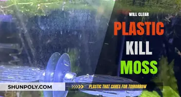 Can Clear Plastic Harm Moss? Exploring the Impact on Growth