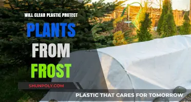 Clear Plastic Frost Protection: Can It Safeguard Your Plants?