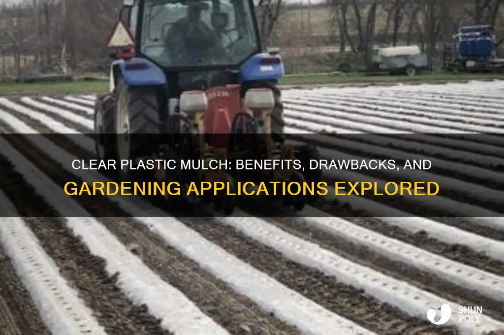 will clear plastic work as mulch