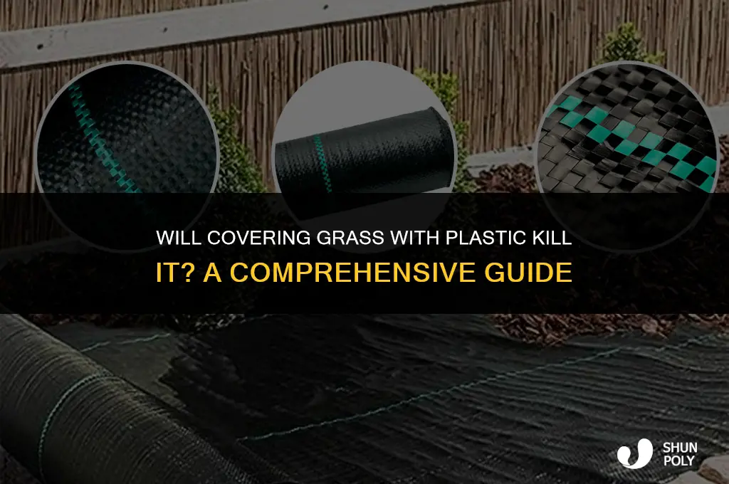 will covering grass with plastic kill it