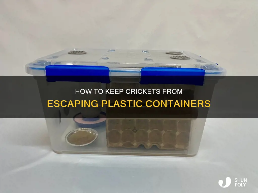 will crickets climb out of plastic containers