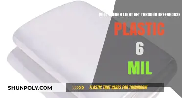 Does 6 Mil Greenhouse Plastic Allow Sufficient Light for Plant Growth?