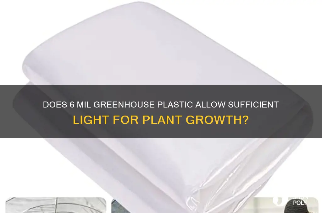 will enough light get through greenhouse plastic 6 mil