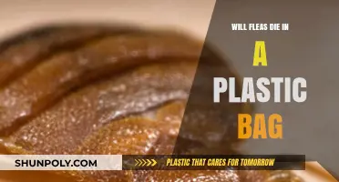 Can Fleas Survive in a Plastic Bag? The Truth Revealed