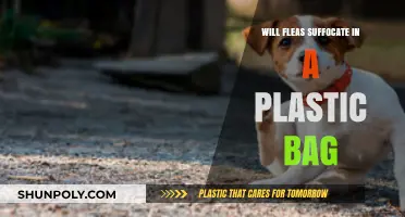 Can Fleas Survive in a Plastic Bag? Uncovering the Truth