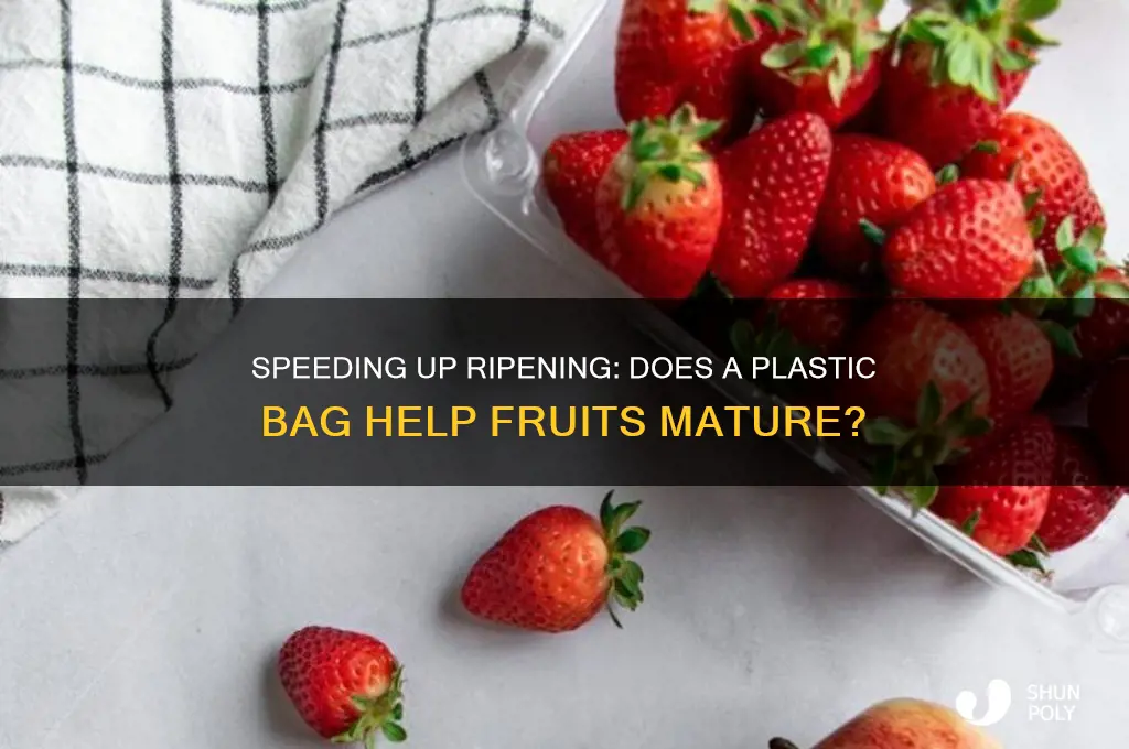 will fruit ripen faster in a plastic bag
