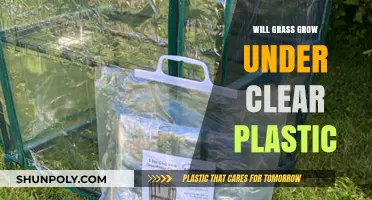 Can Clear Plastic Allow Grass Growth? Uncovering the Truth