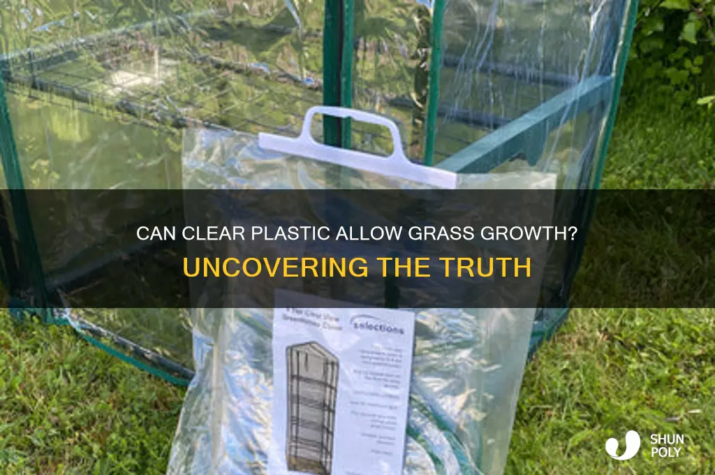 will grass grow under clear plastic