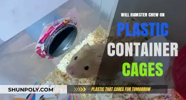 Hamsters and Plastic Cages: Are They Safe?