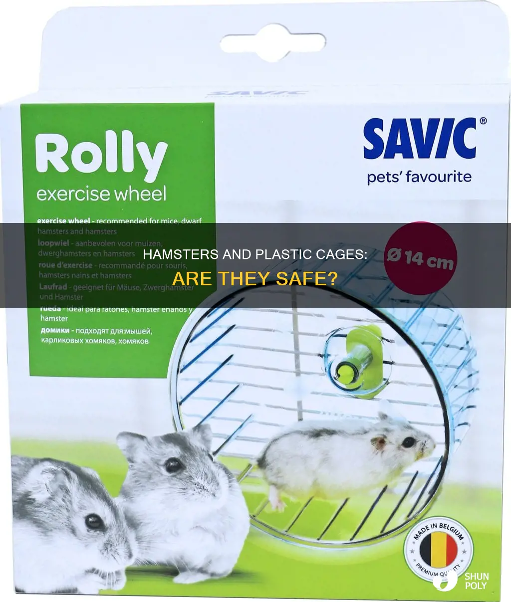 will hamster chew on plastic container cages