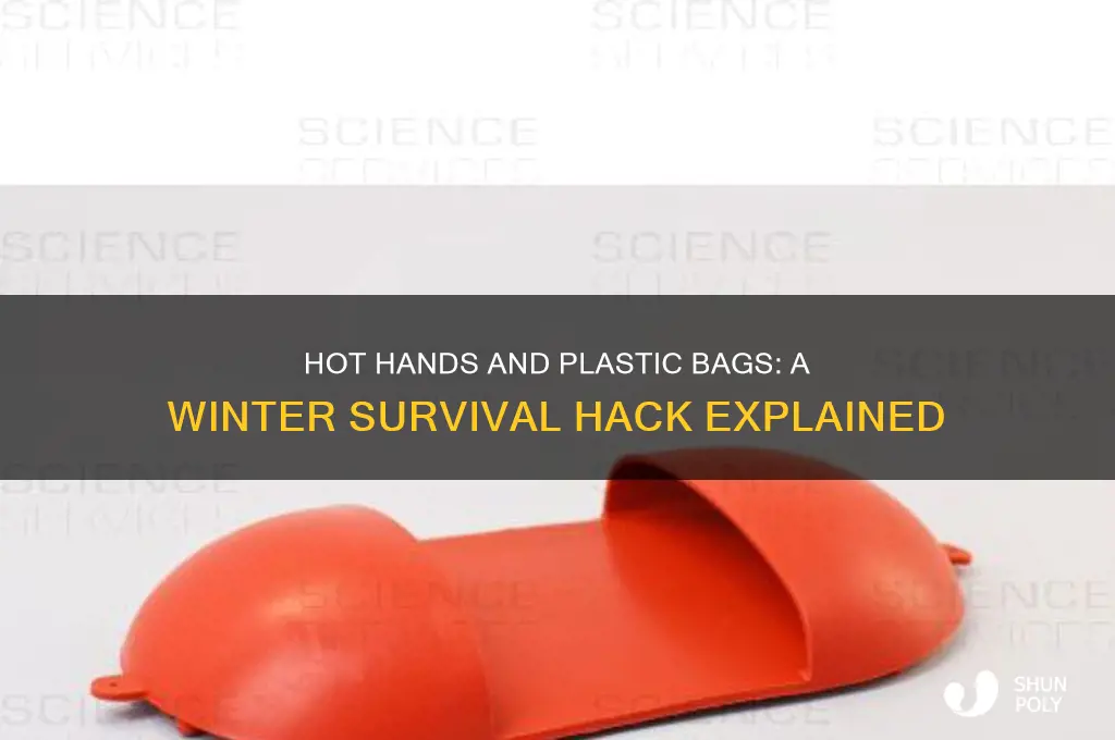 will hot hands keep and plastic bag
