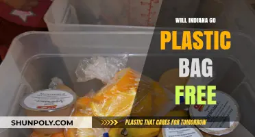 Indiana's Path to a Plastic Bag-Free Future: Possibilities and Challenges
