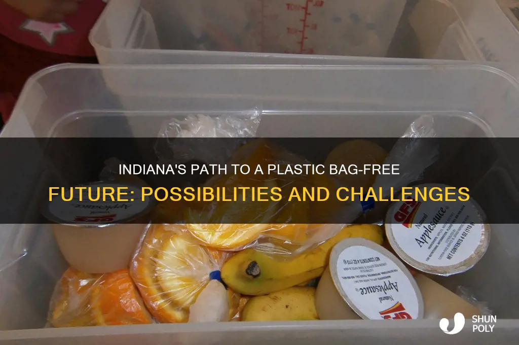 will indiana go plastic bag free