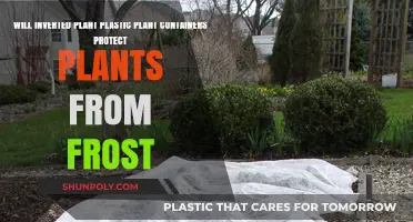 Inverted Plant Pots: Frost Protection for Potted Plants