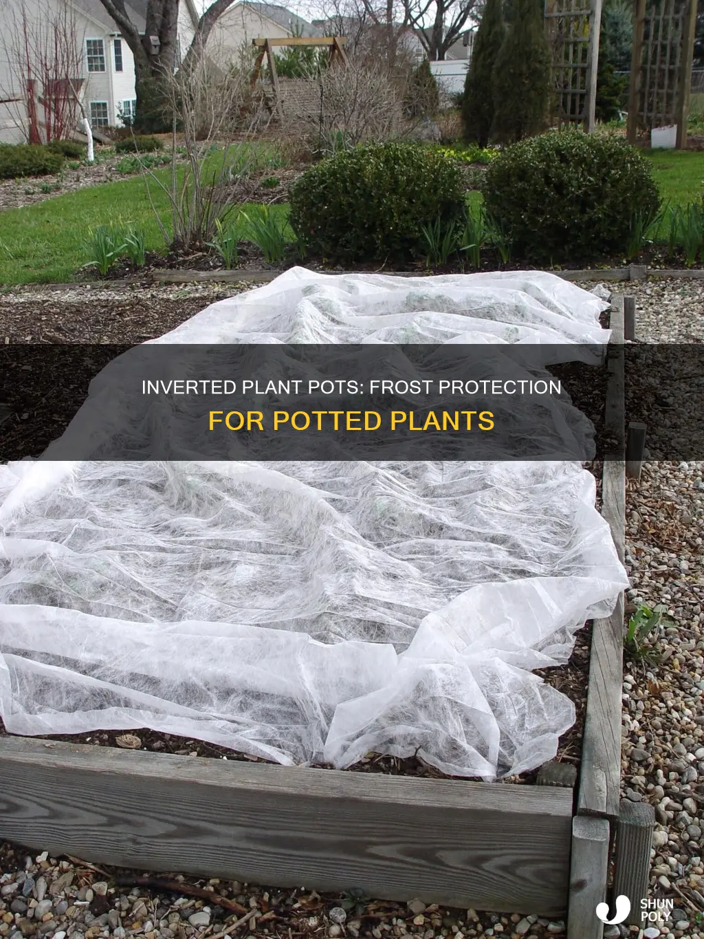 will inverted plant plastic plant containers protect plants from frost