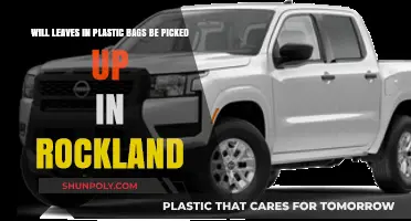 Rockland's Leaf Pickup Policy: Plastic Bags Allowed or Not?