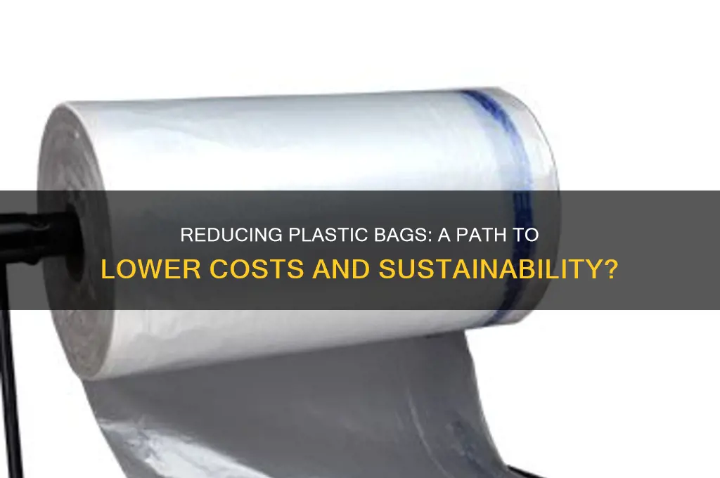 will less plastic bags make things cheaper