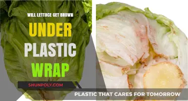 Does Plastic Wrap Prevent Lettuce Browning? Facts and Tips